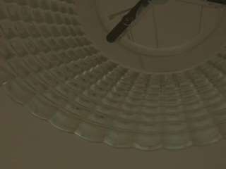 gaynellharoutunian webcam