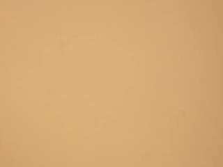 gaynellharoutunian webcam