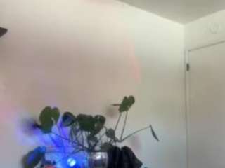 daisyjones77