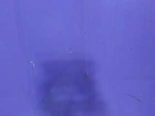 hontasblue