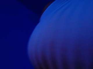  susan-moore29 chat room