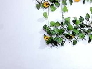 tracy-wright Black live webcam