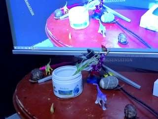 bigsensation21ss webcam