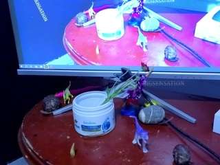 bigsensation21ss webcam