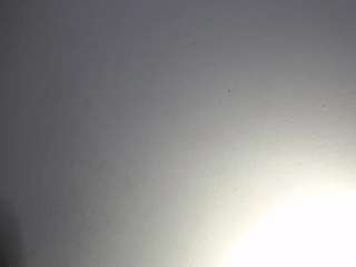 hilari live webcam show