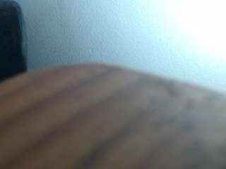 hilari live webcam show