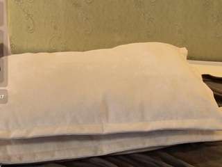 milkmesoftly live cam profile