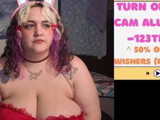 nevermakeawish