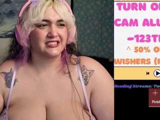 nevermakeawish
