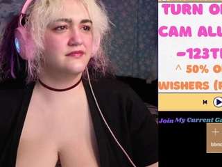 nevermakeawish