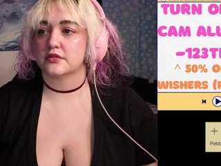 nevermakeawish