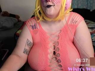 Nevermakeawish's cam show statistics and live stream