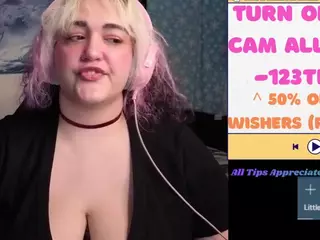 nevermakeawish