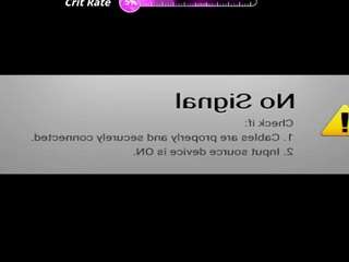 eliarose