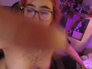 CATSITO3 live cam preview