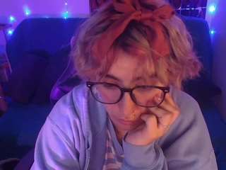 CATSITO3 live cam preview