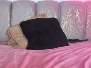 noah-0814