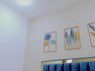 aria-collin webcam