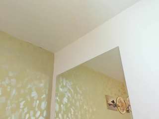 aria-collin webcam