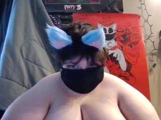 kittykemi