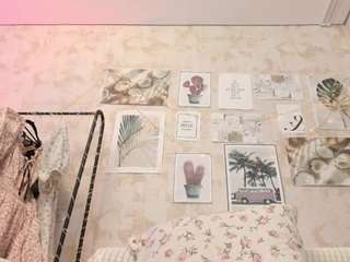 luafynova webcam