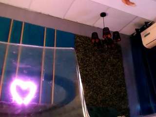 suzanstacks webcam