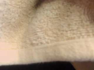 ellie-wills webcam model