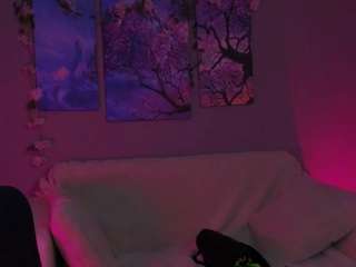  lili-energy chat room
