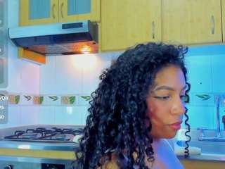 sashard webcam model