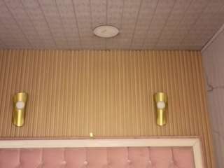 victoriia-b's CamSoda show and profile