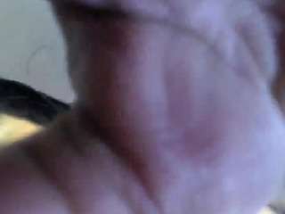 vivi-rosse-ch