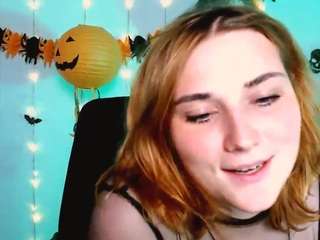 casey-meow