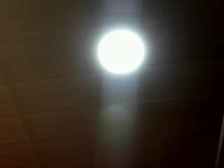 alicegracee webcam model