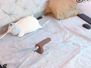 charlotteejones Live Webcam on CamSoda