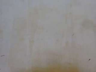 sexy-lilly89, female webcam model,  years old, on live webcam