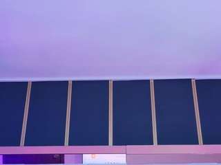 irissbloom webcam model