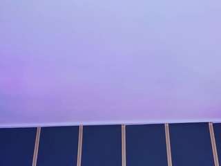 irissbloom webcam model