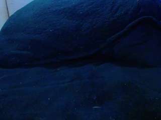 biamiller