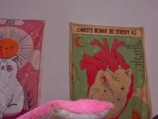 Liridill's cam show statistics and live stream