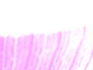 MyApril live webcam show
