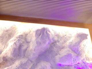 Live webcam model danna-dusky on Soda Cams