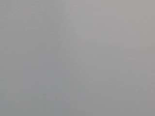evannesanicol08 webcam model