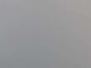 evannesanicol08 webcam