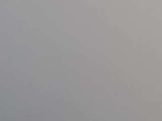  evannesanicol08 chat room