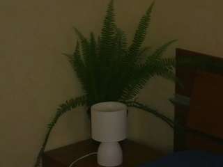 haydeesarraga's CamSoda show and profile