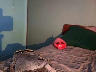 clydecortes webcam