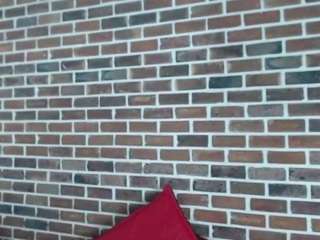 danna-alvarez webcam model