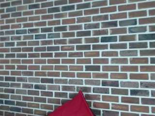 danna-alvarez webcam model