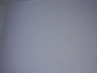 katelynnpaciorek webcam