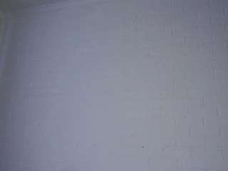 katelynnpaciorek webcam